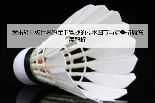 拳击轻量级世界冠军卫冕战的技术细节与竞争格局深度解析